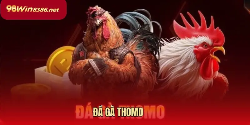 đá gà Thomo