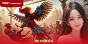 kinh nghiệm đá gà