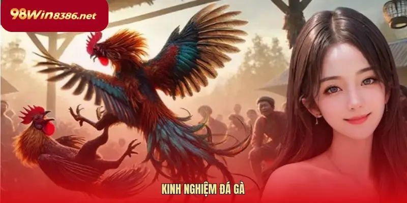 kinh nghiệm đá gà