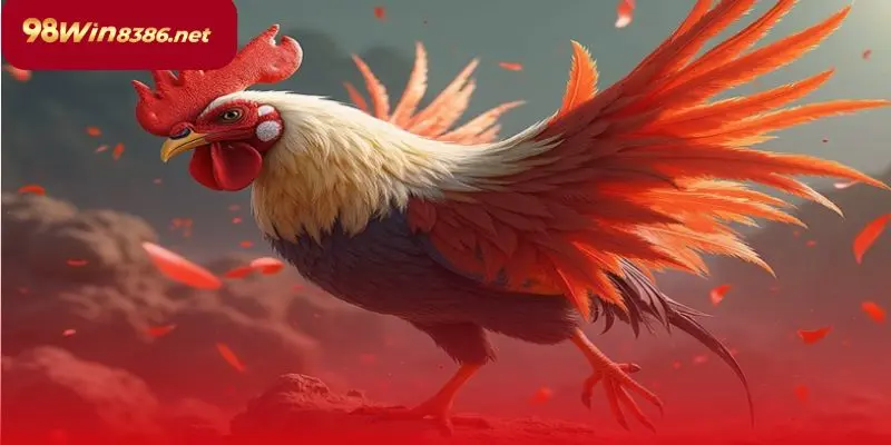 Tìm hiểu phong độ chiến kê trước khi đặt cược.